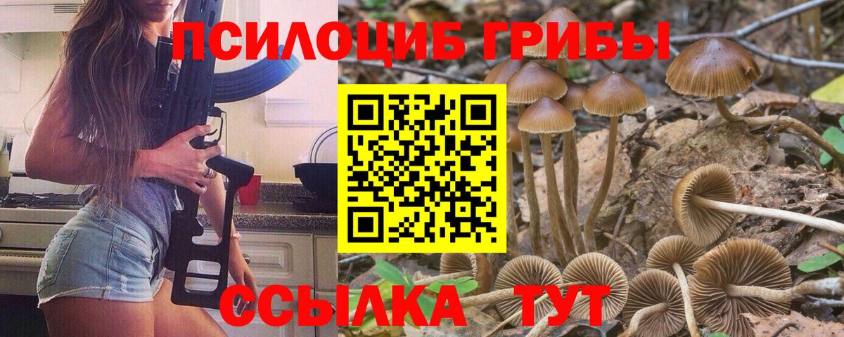 Мценск  Галлюциногенные грибы MAGIC MUSHROOMS  Псилоцибиновые грибы MAGIC MUSHROOMS  Вход с VPN 